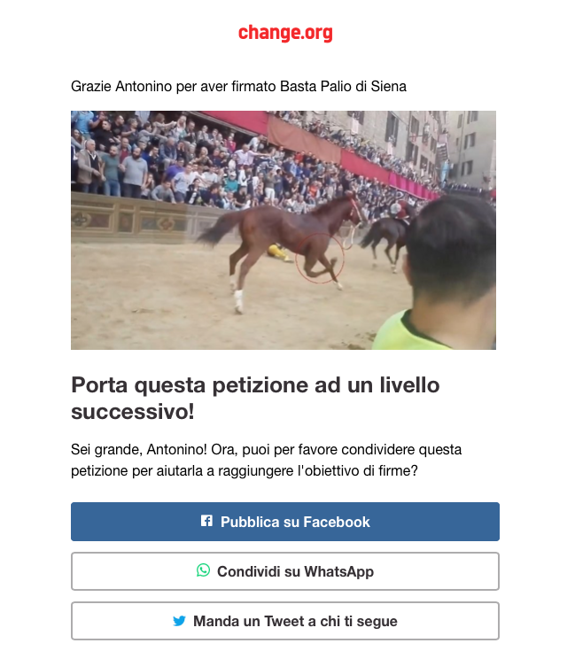 Firma alla petizione: Stop al Palio di Siena